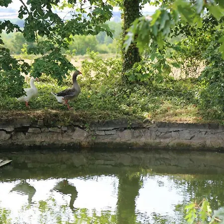 Chateau De La Frogerie Bed & Breakfast