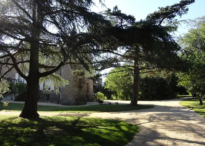 לינה וארוחת בוקר Chateau De La Frogerie 3*