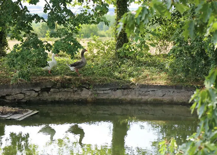 Chateau De La Frogerie ベッド・アンド・ブレックファスト